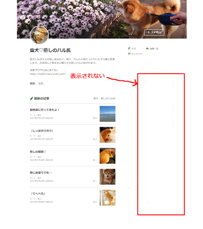 ss56.png